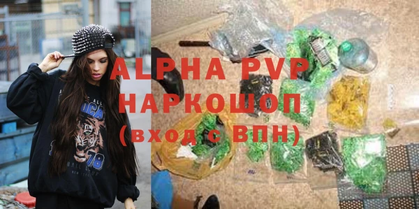 apvp Иннополис
