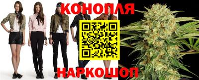 индика Будённовск