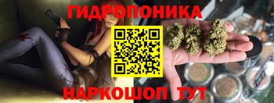 индика Будённовск