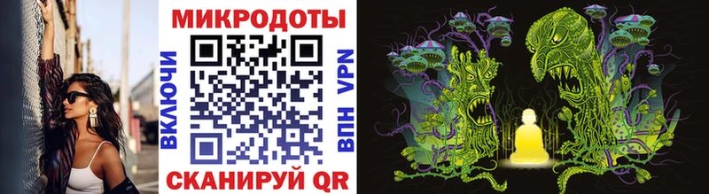 Галлюциногенные грибы Psilocybine cubensis Верхняя Пышма