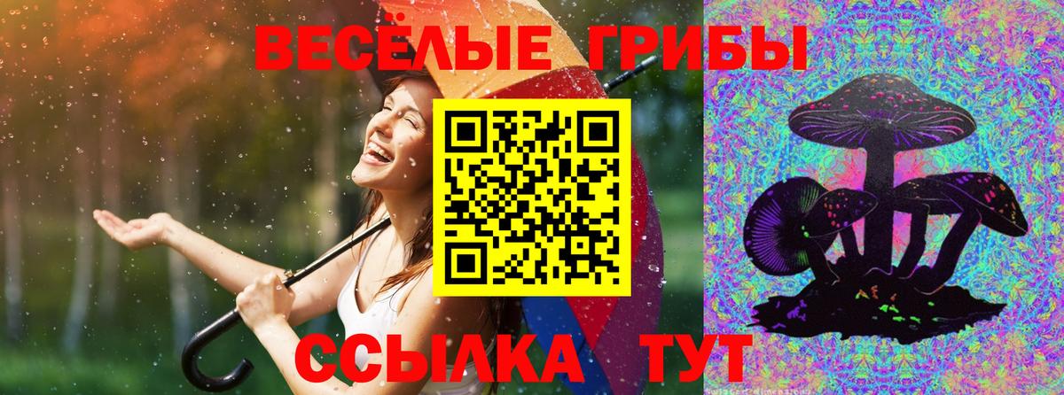 Верхняя Пышма  Псилоцибиновые грибы мухоморы  Вход с VPN  Галлюциногенные грибы прущие грибы 
