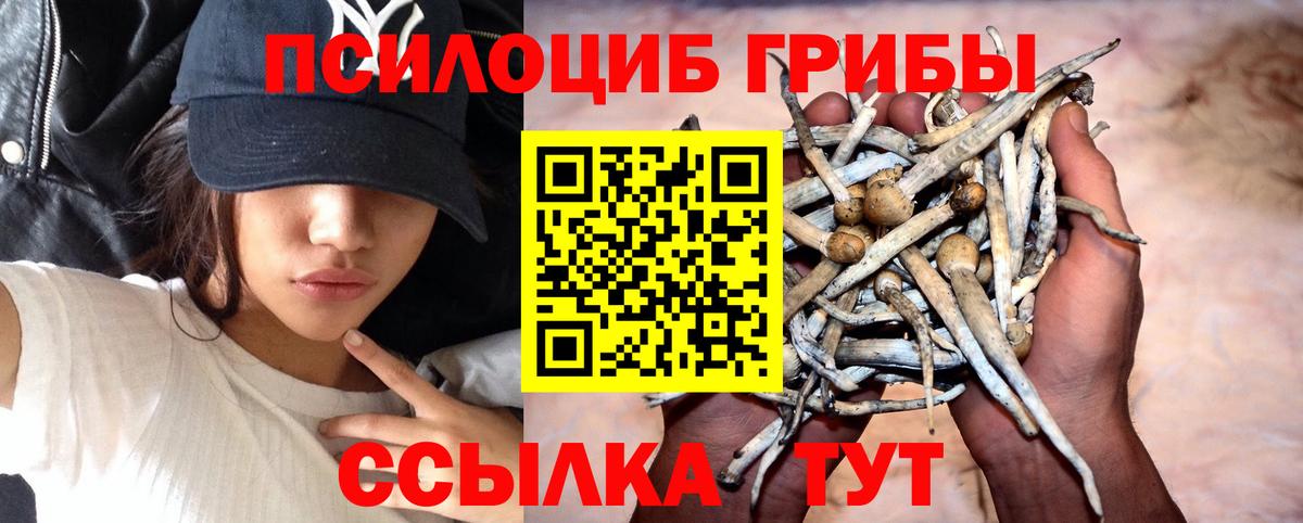 Галлюциногенные грибы MAGIC MUSHROOMS Верхняя Пышма
